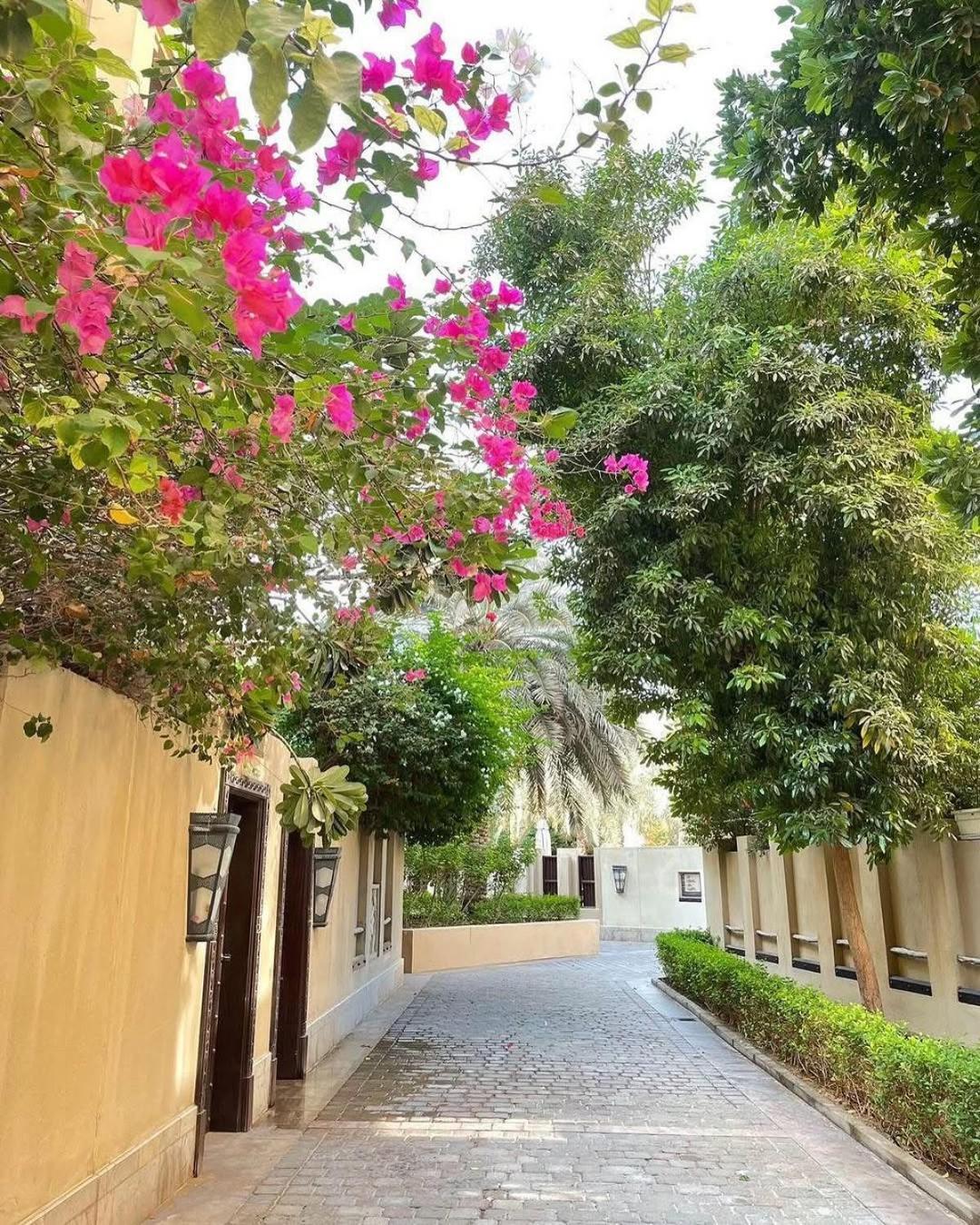 Live The Burj Lifestyle In Timeless Oldtown By Sbh *